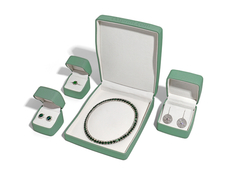 Gepersonaliseerde luxe armband oorbel juwelen verpakkingsdoos met beste leer live commentaar